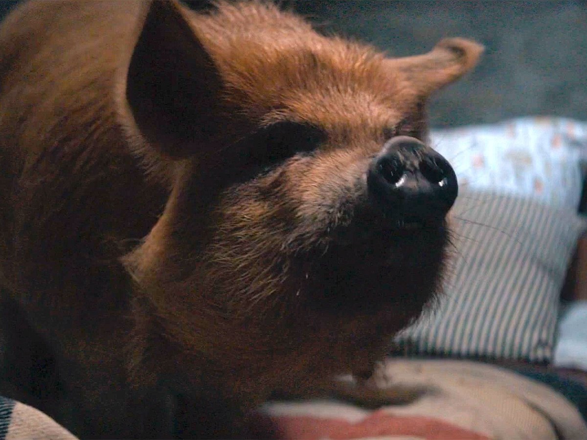 Pig (2021), Porcine Soul&nbsp;Searching